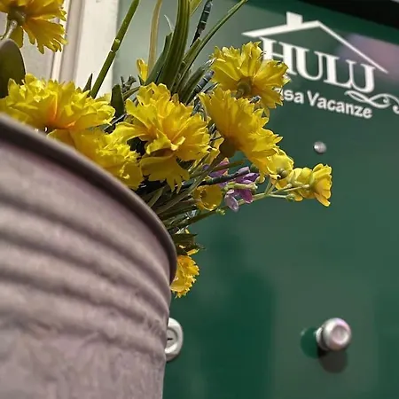 Apartament Hulu Savona